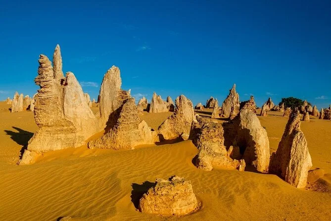 Pinnacles Tours from Perth 1