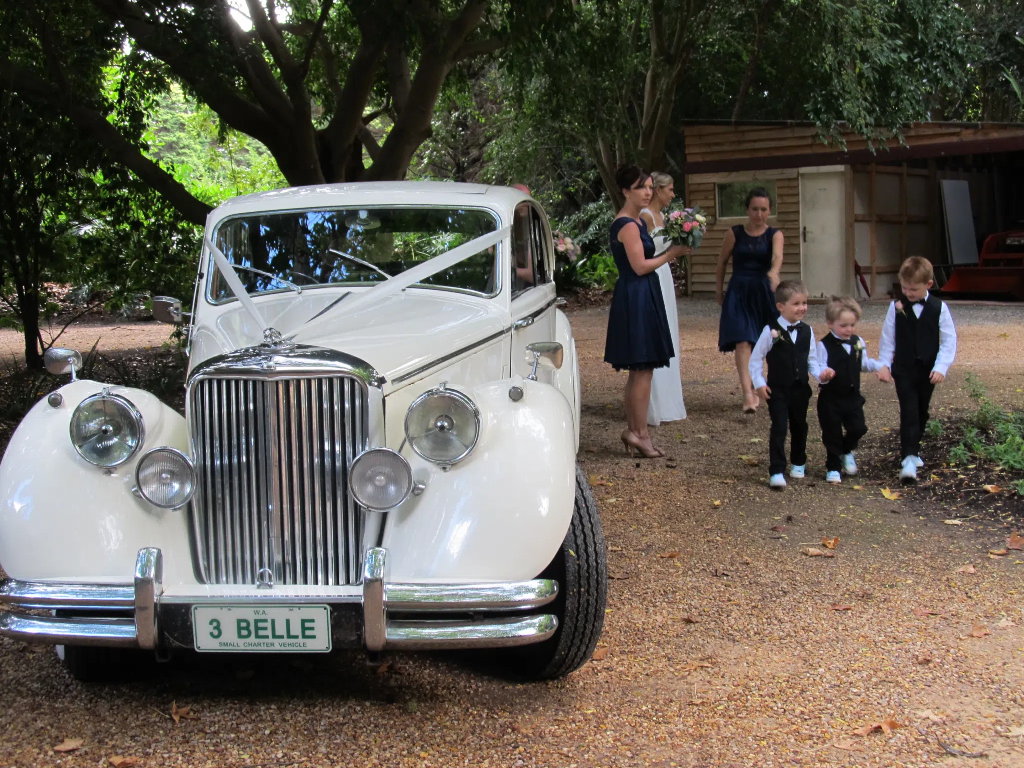 A wedding car with ribbons tied to the handle and side mirrors