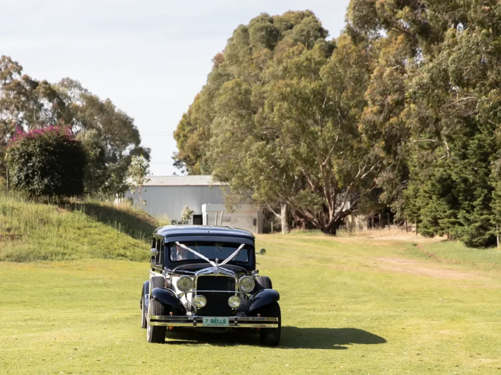 ColourCeremony60 websize